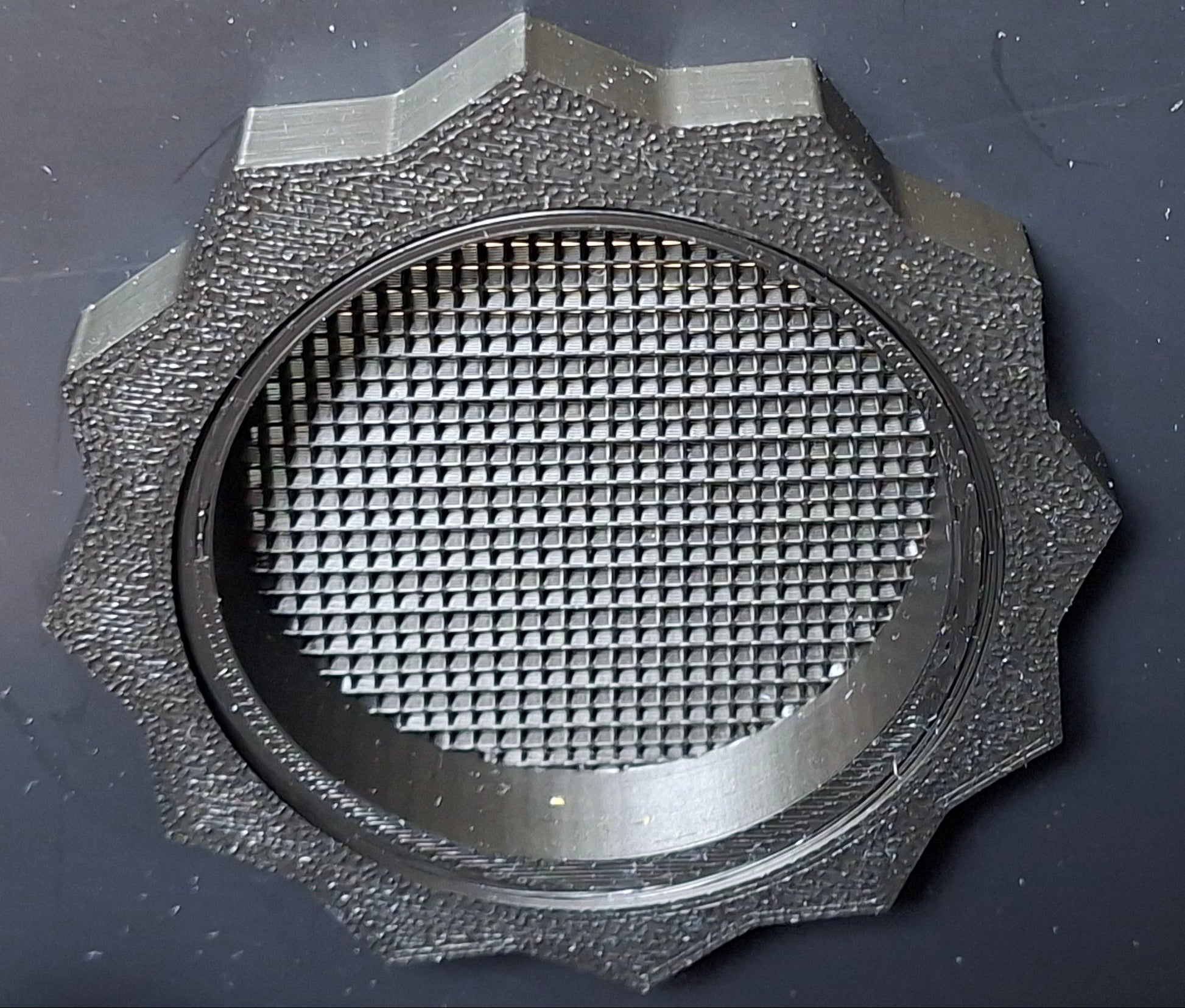 Isopod Enclosure Dubia Roach