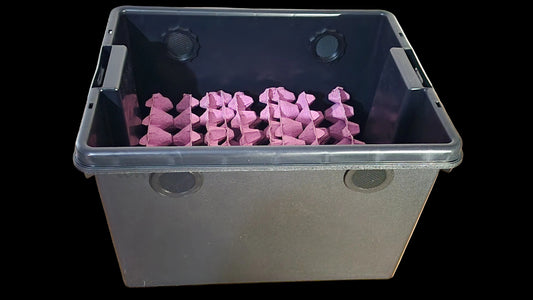 dubia roach enclosure isopod