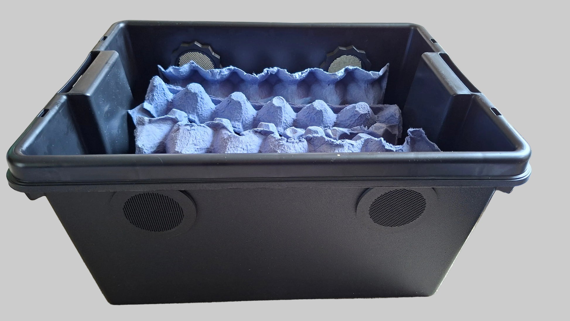 Isopod Enclosure Dubia Roach