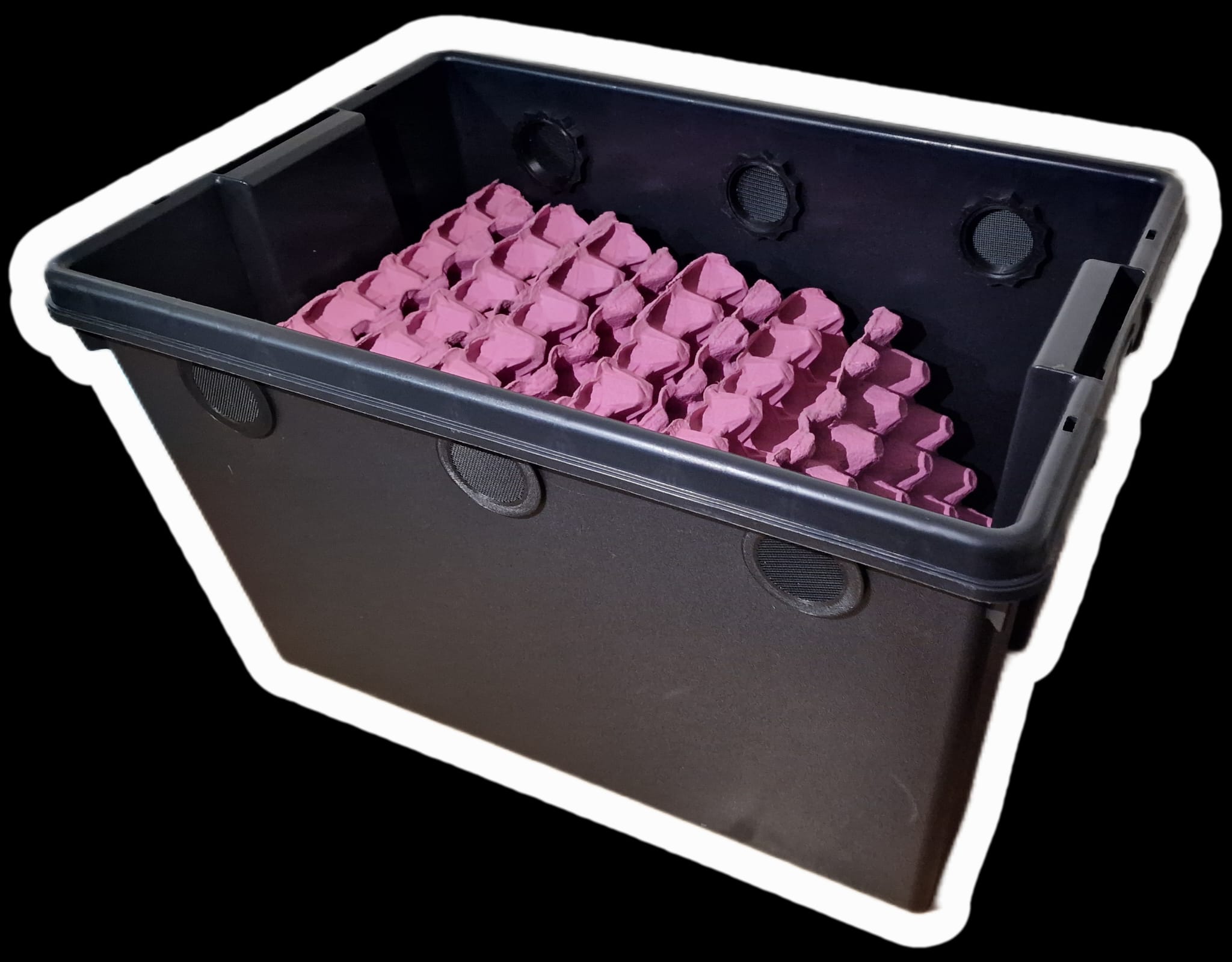 Dubia Roach / Insect / Isopod 62L Enclosure Ideal For Colony +
