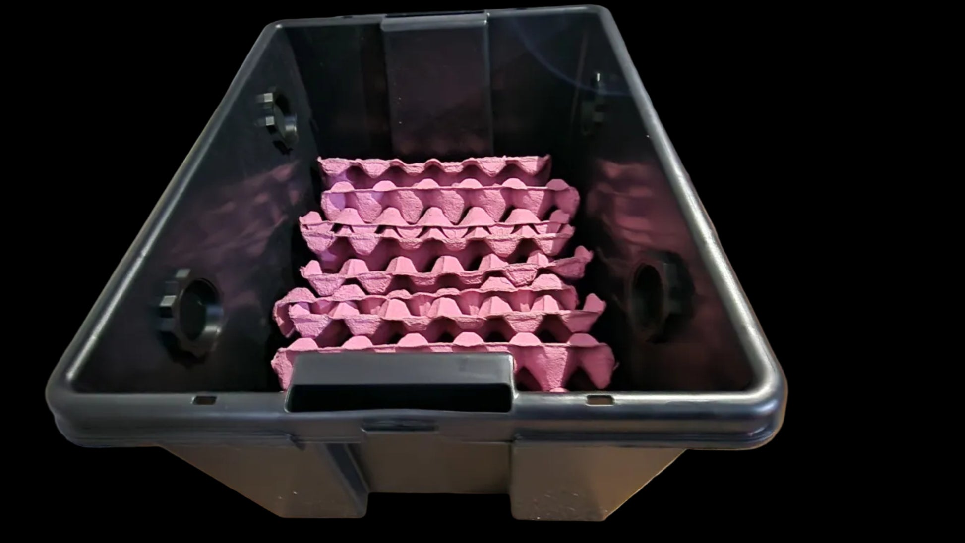 dubia roach enclosure isopod