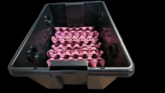 dubia roach enclosure isopod