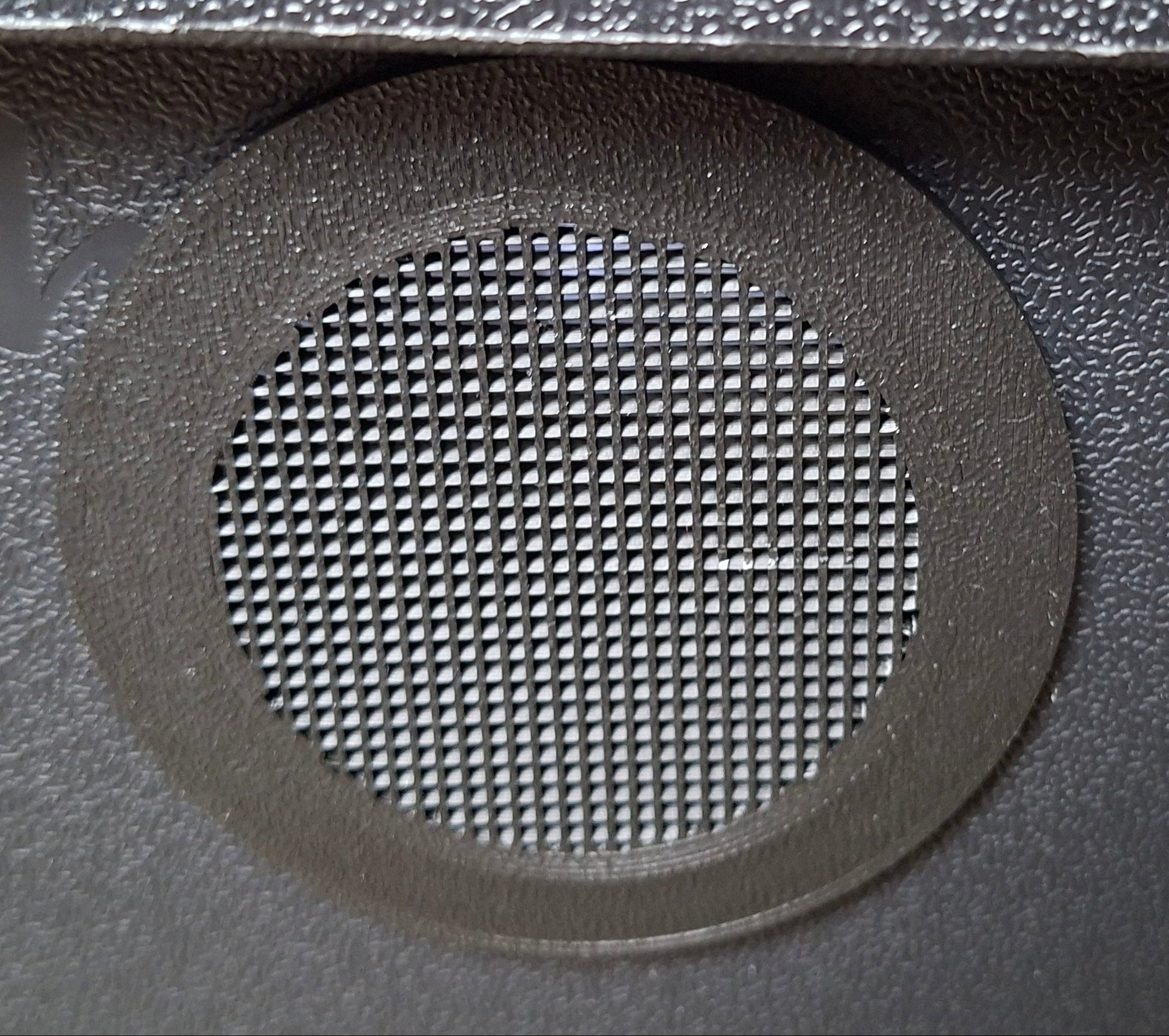 Isopod Enclosure Dubia Roach