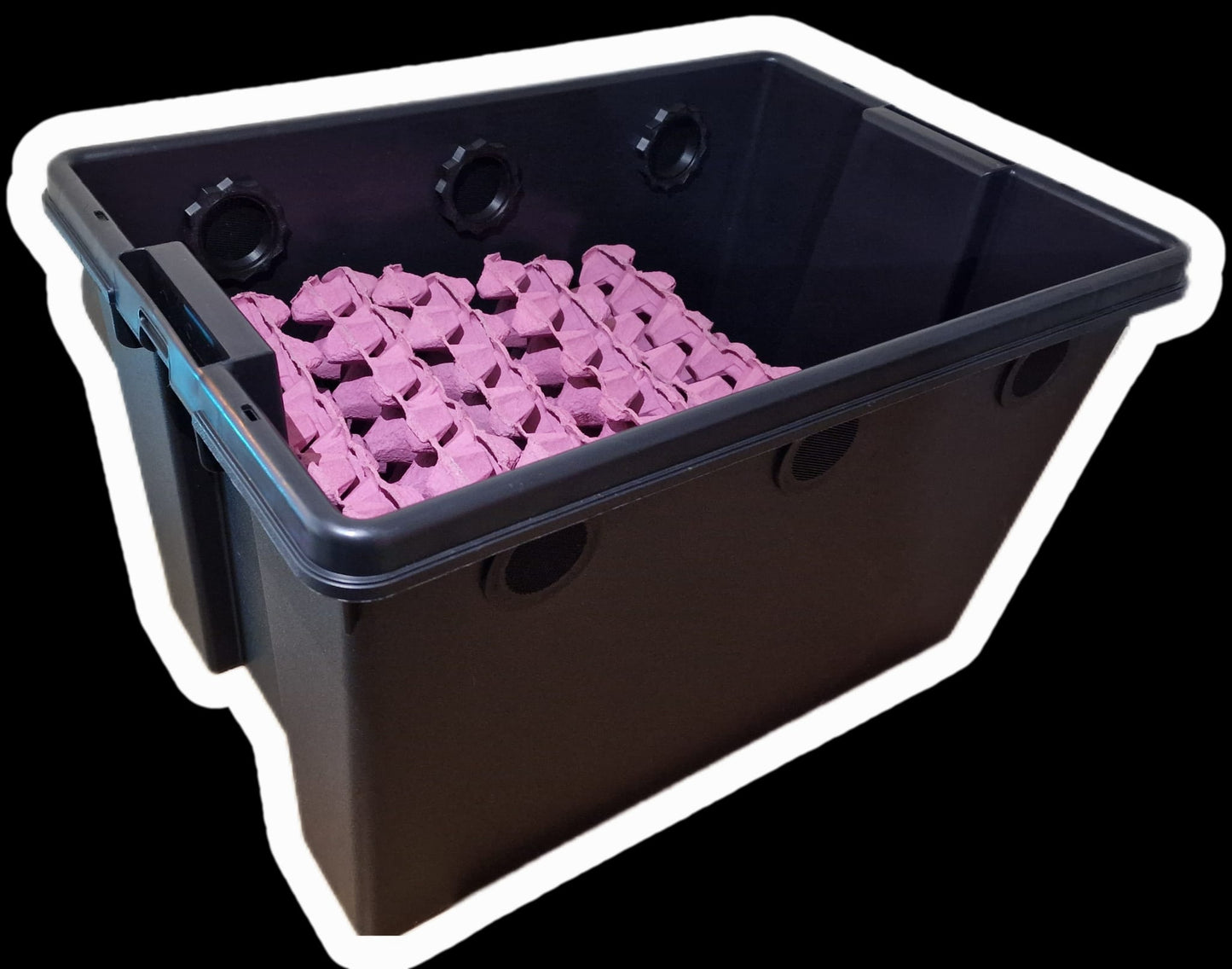 dubia roach enclosure isopod