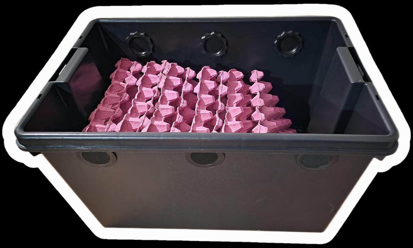 dubia roach enclosure isopod