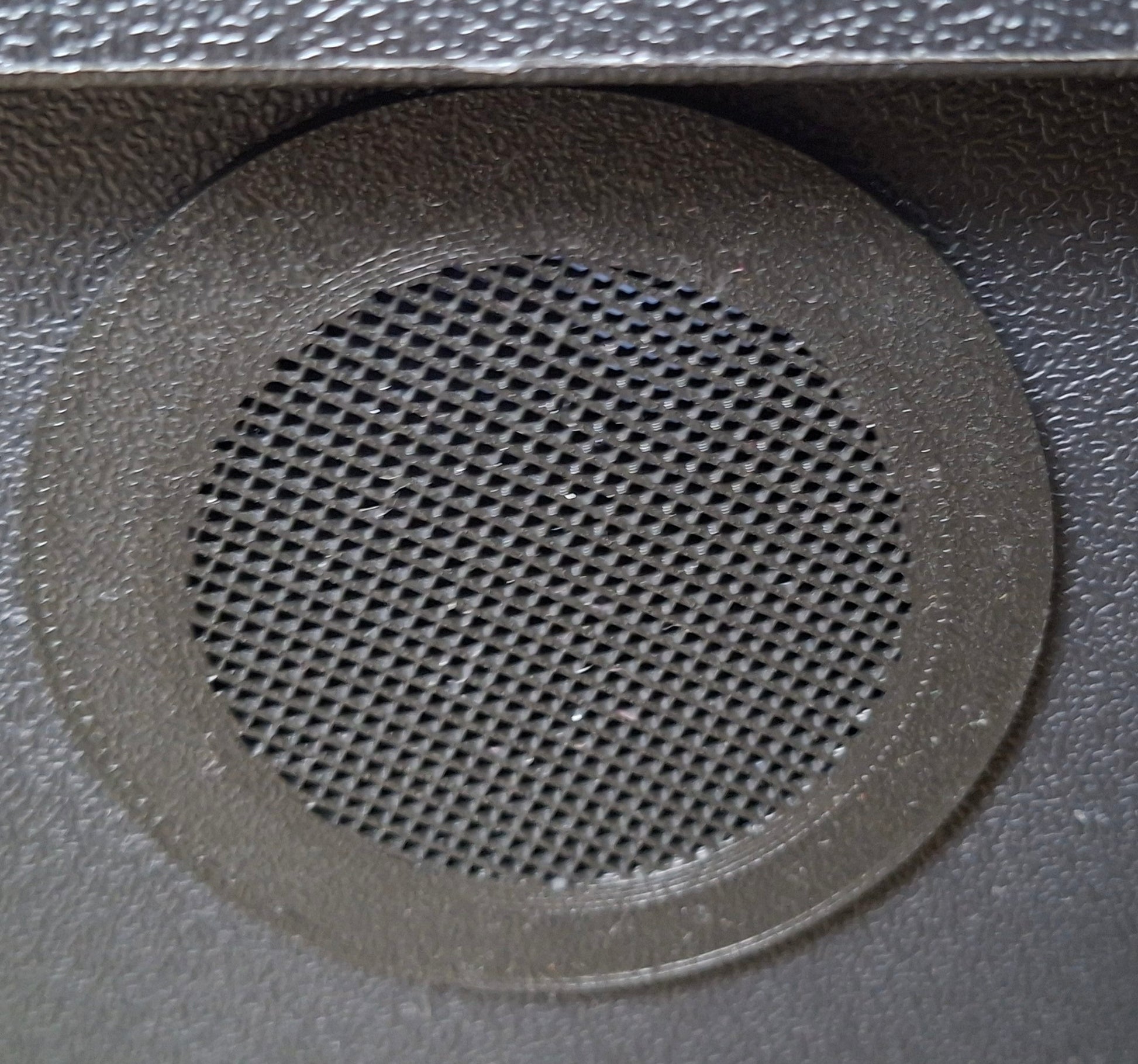 Isopod Enclosure Dubia Roach